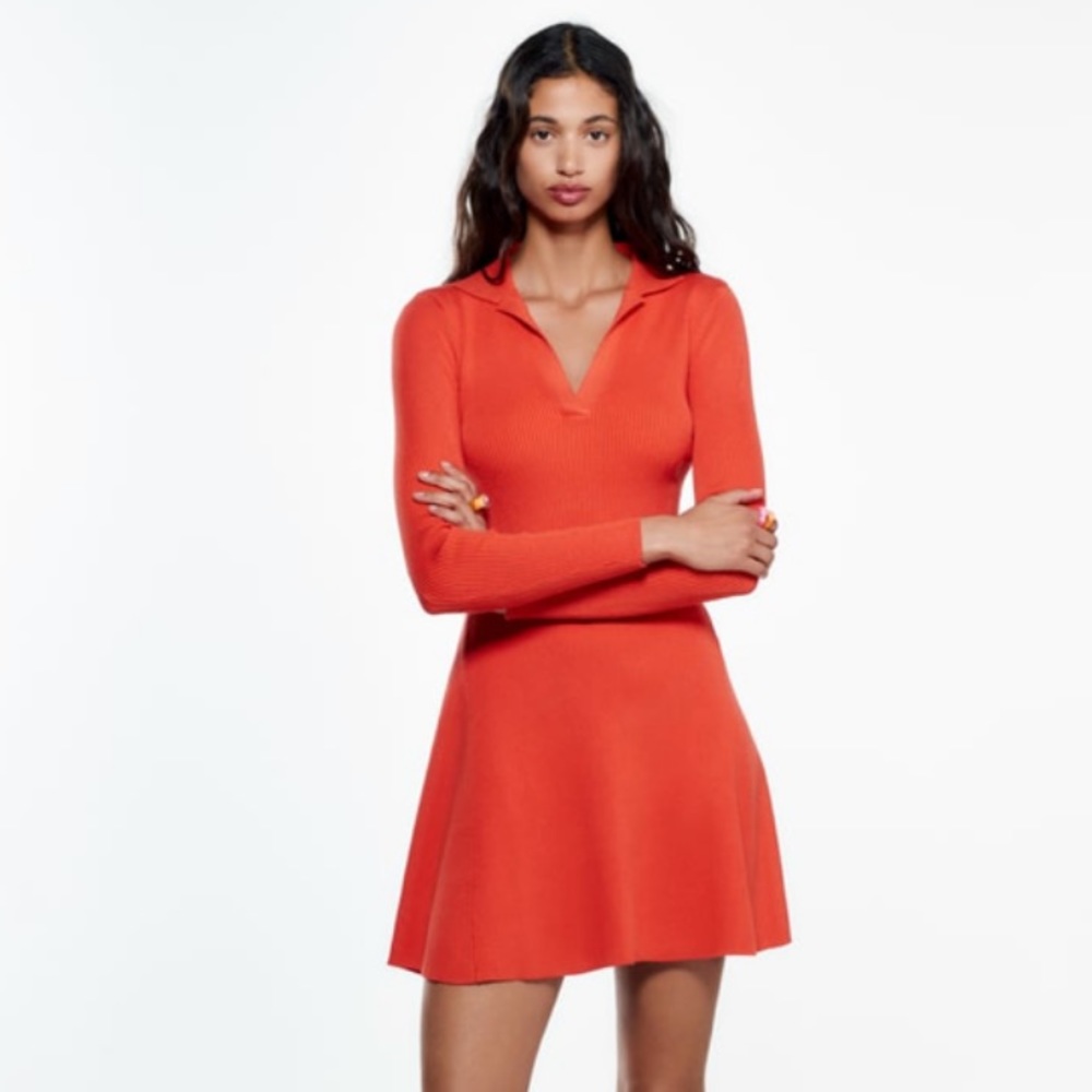 Zara Knit Skater Dress
